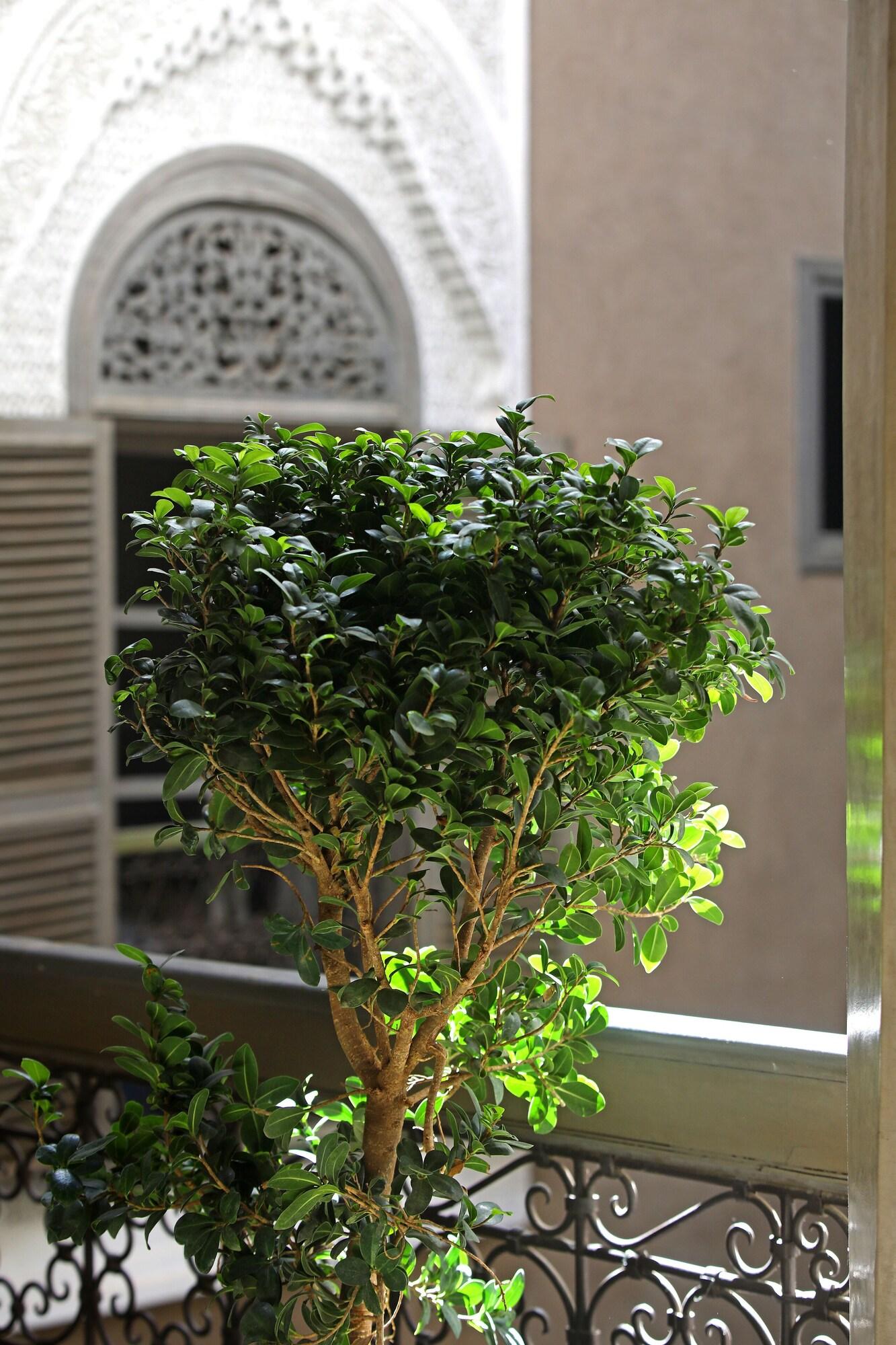 رياض دار وان بيت ضيافة 3*